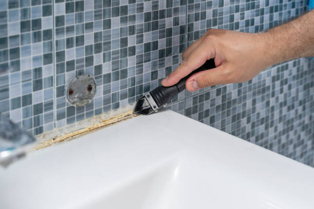 Best Professional Mold Removal  in Frankfort, OH